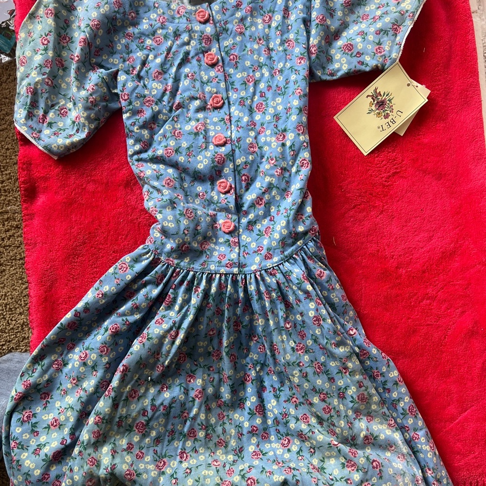 Blue and Red Buttoned Casual Sundress with Dolman Sleeves
